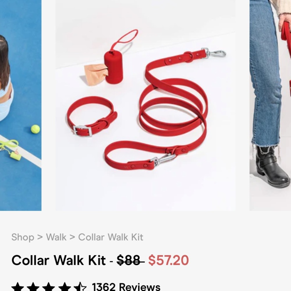 Collar & Leash Set 🍓